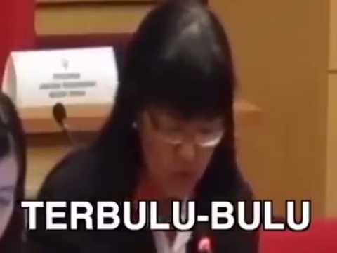 Terbulu-bulu